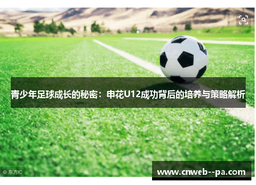 青少年足球成长的秘密：申花U12成功背后的培养与策略解析